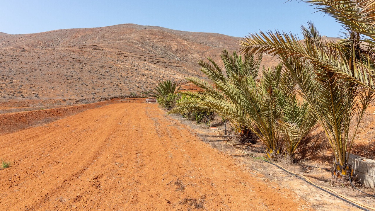 Photo of Outdoor in Antigua