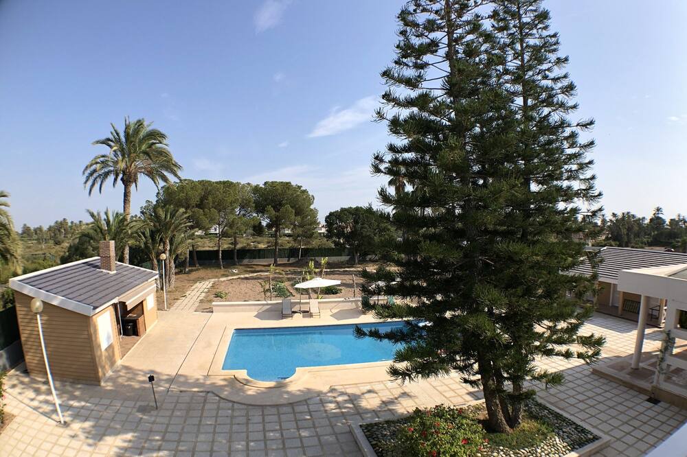 Photo of Outdoor in Elche