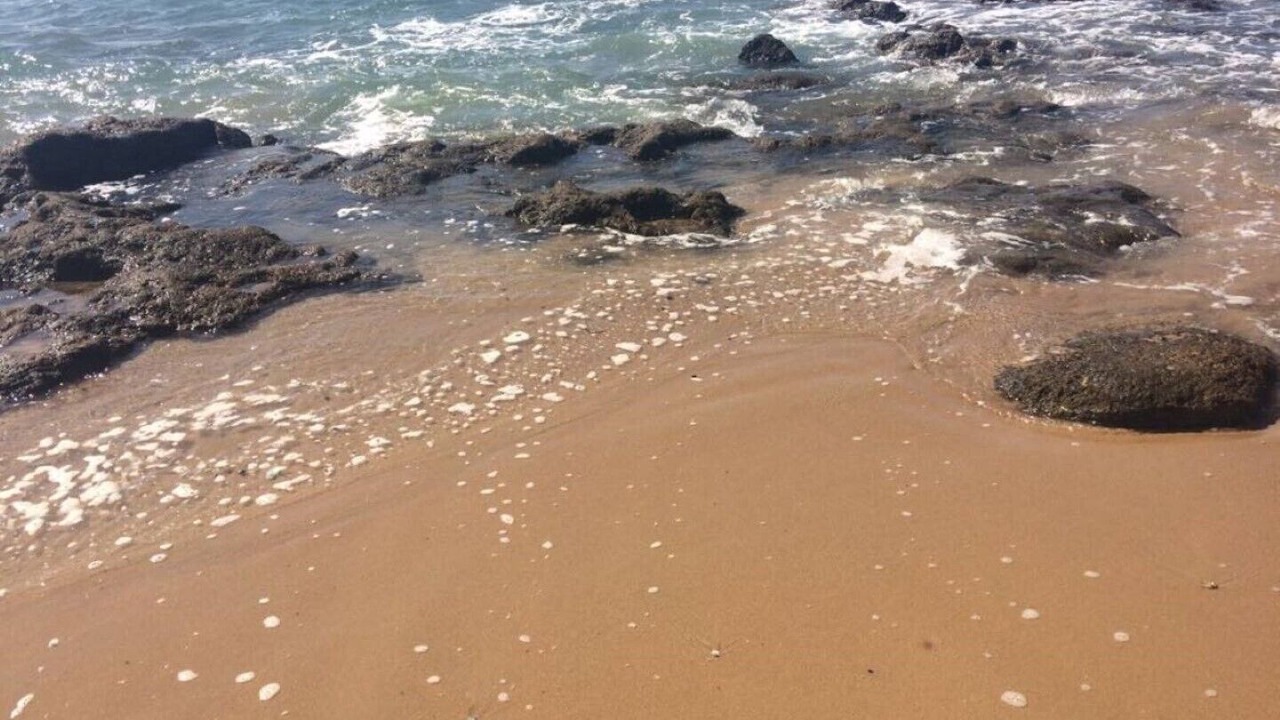 Photo of Others in Sanlucar de Barrameda