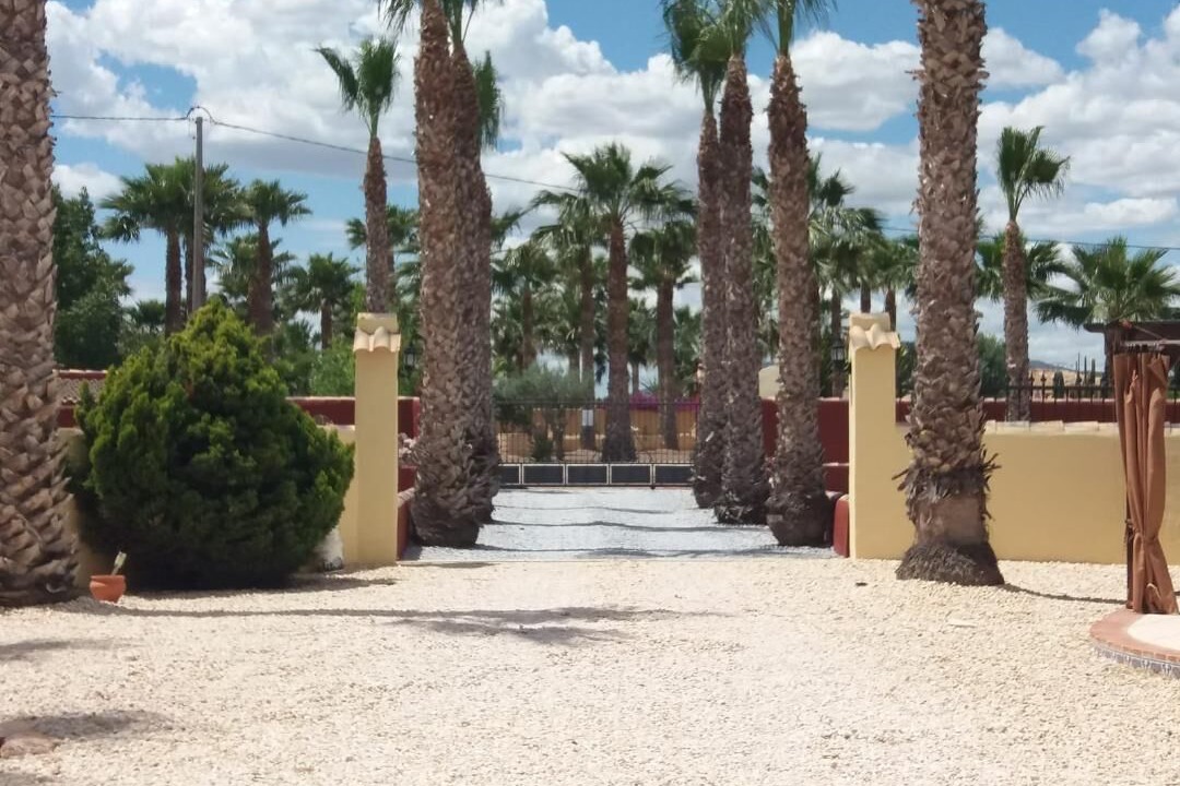 Photo of Outdoor in Orihuela