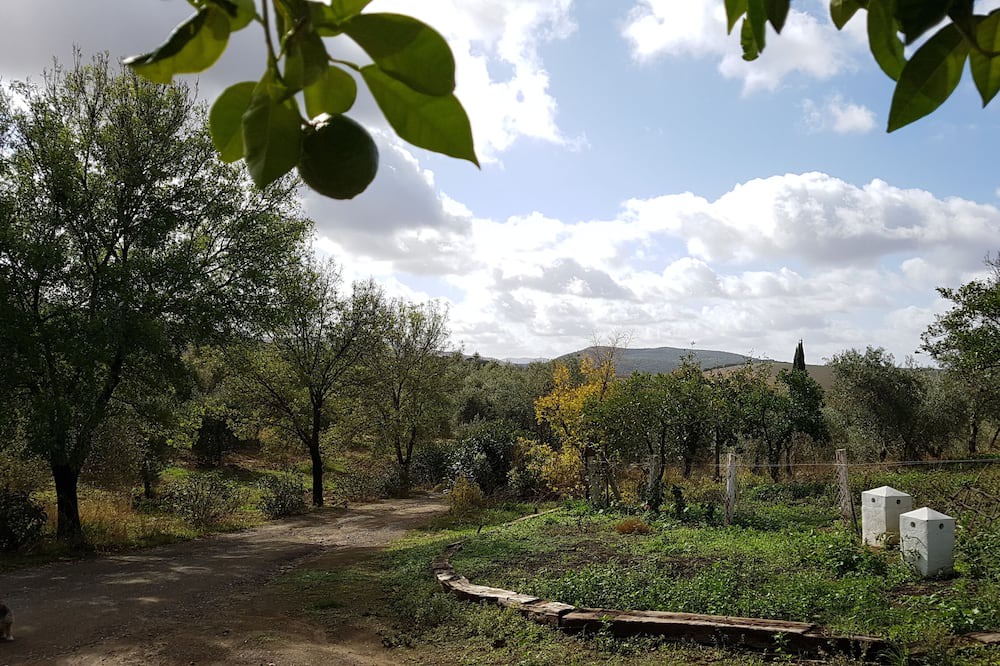 Photo of Outdoor in Puerto Serrano