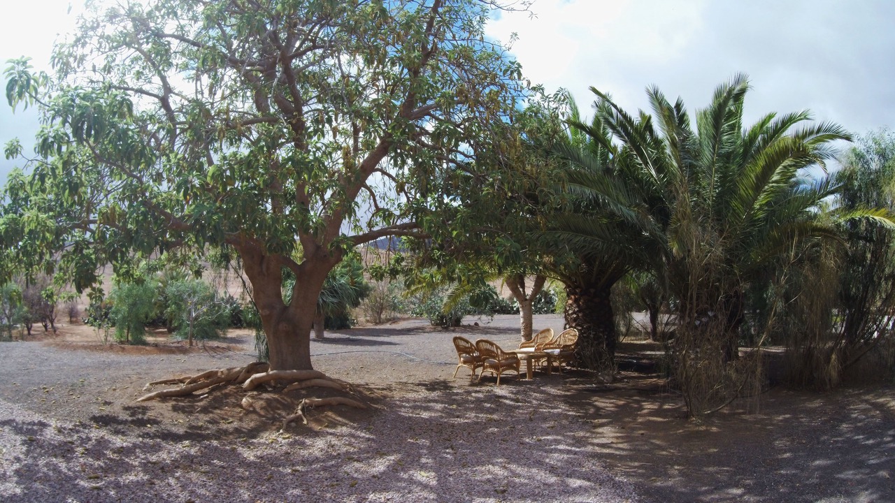 Photo of Outdoor in Puerto del Rosario
