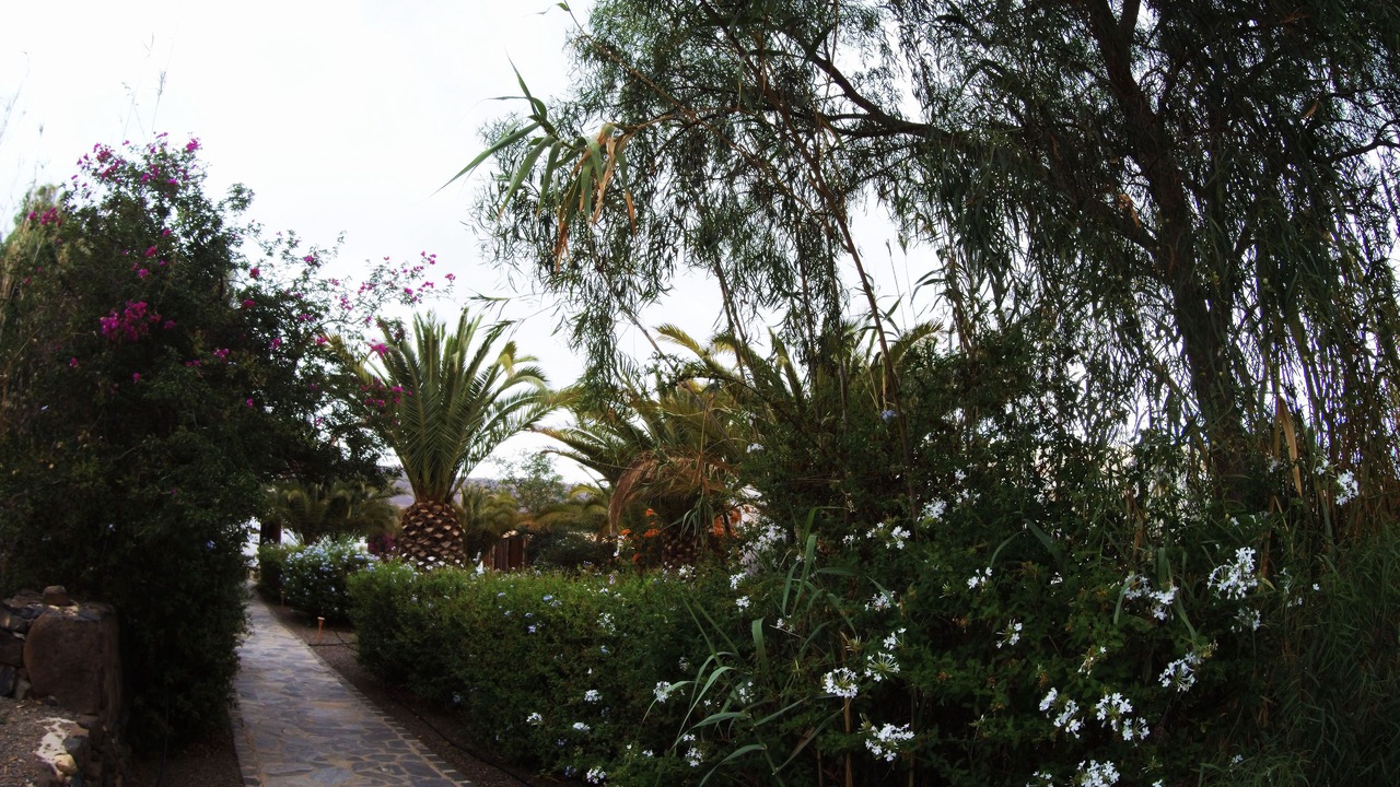 Photo of Outdoor in Puerto del Rosario