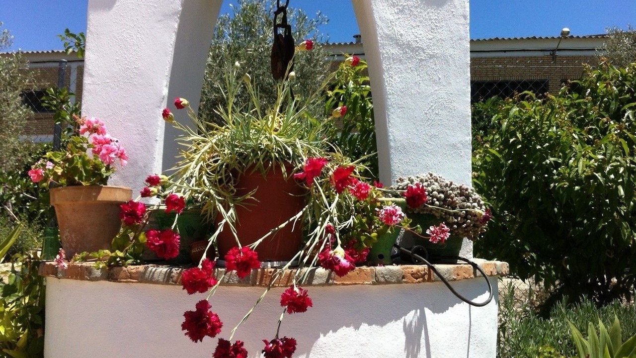 Photo of Outdoor in Osuna