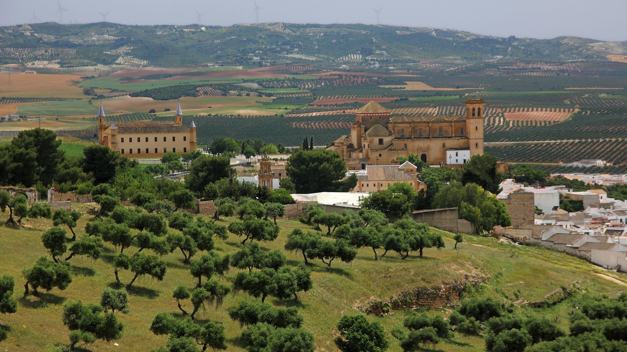 Photo of Others in Osuna