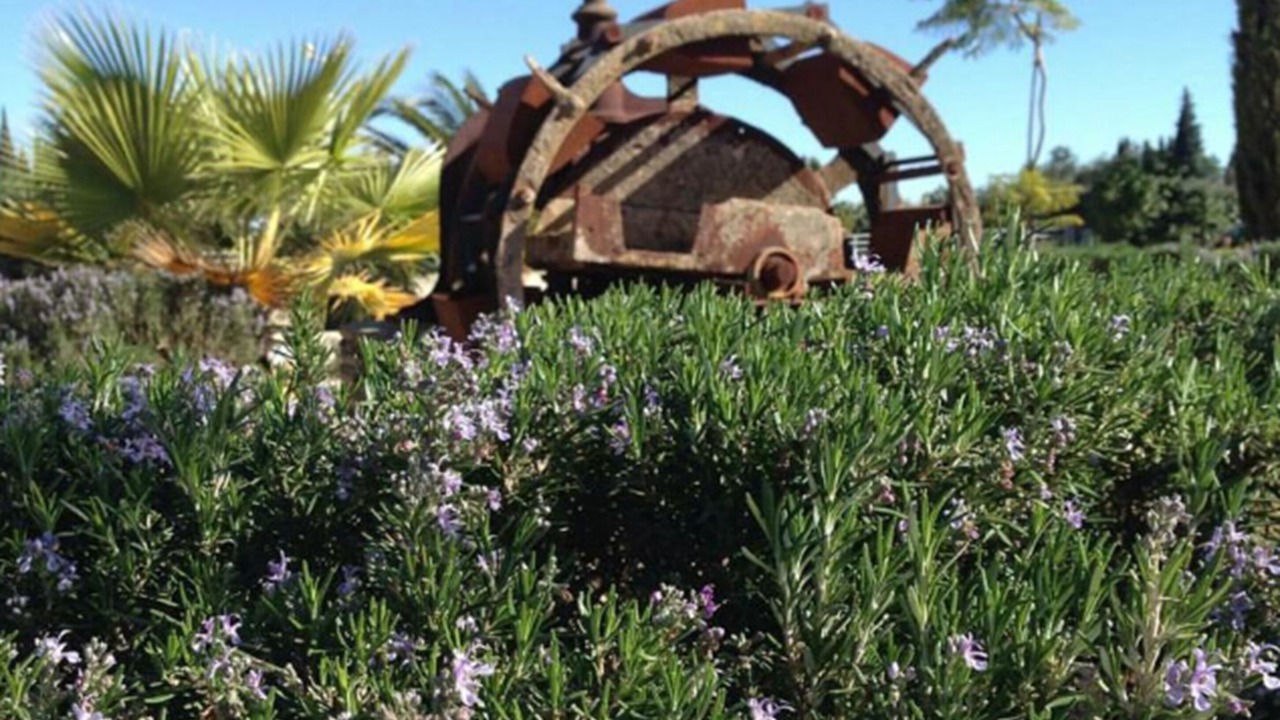 Photo of Outdoor in Marchena