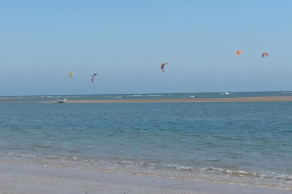 Photo of Others in Laguna de El Portil