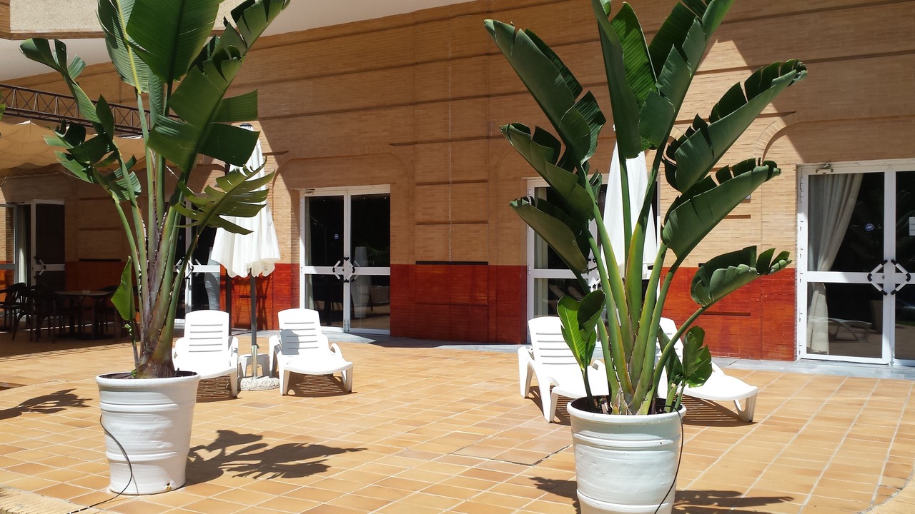 Photo of Outdoor in Dos Hermanas