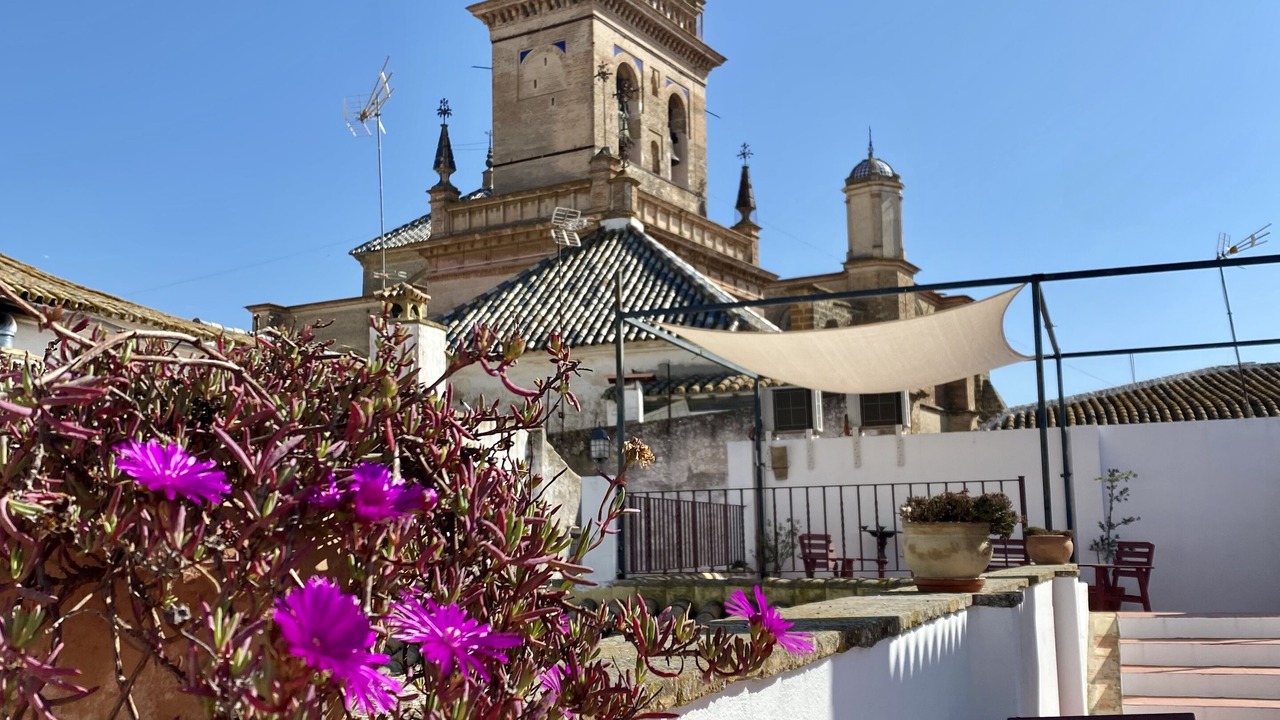 Photo of Outdoor in Carmona
