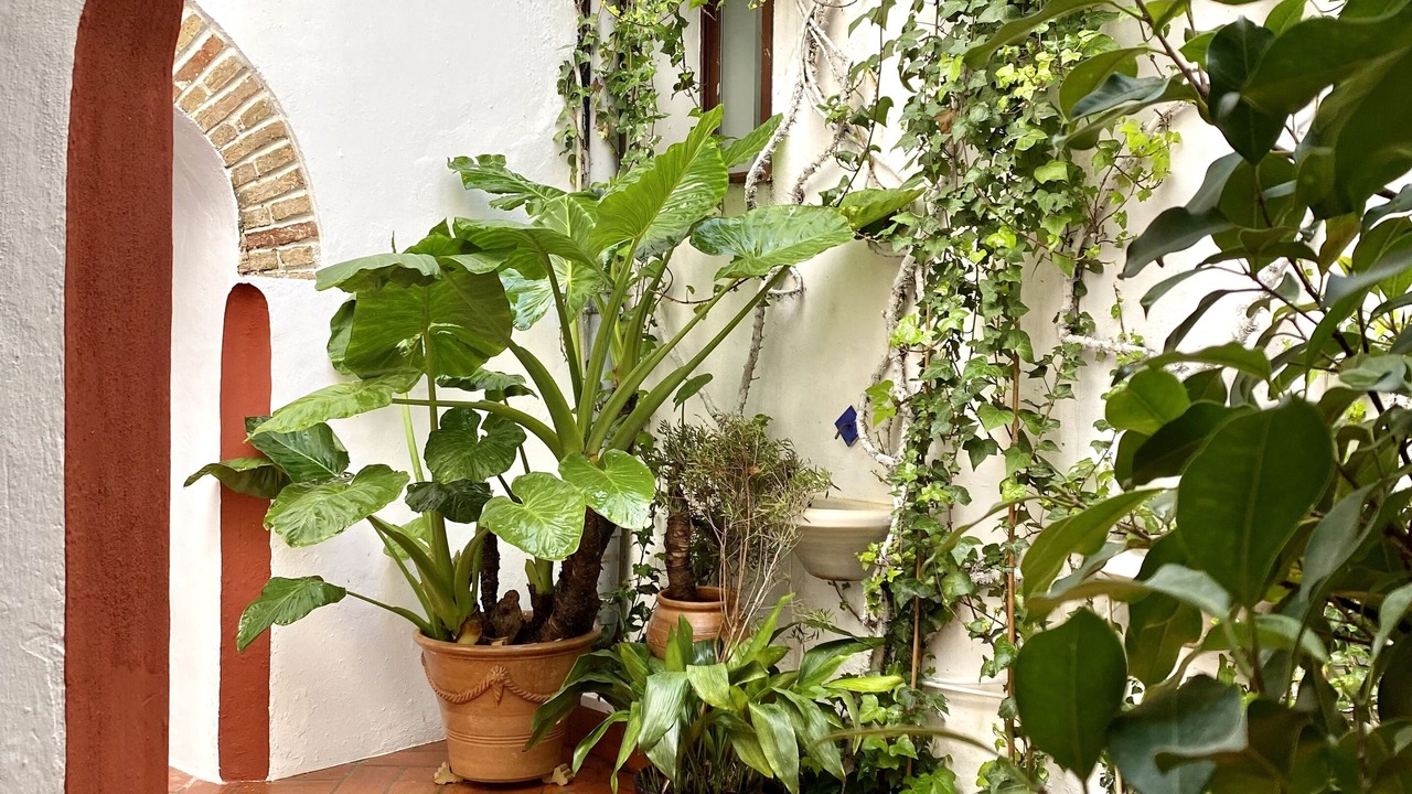 Photo of Patio Balcony in Carmona