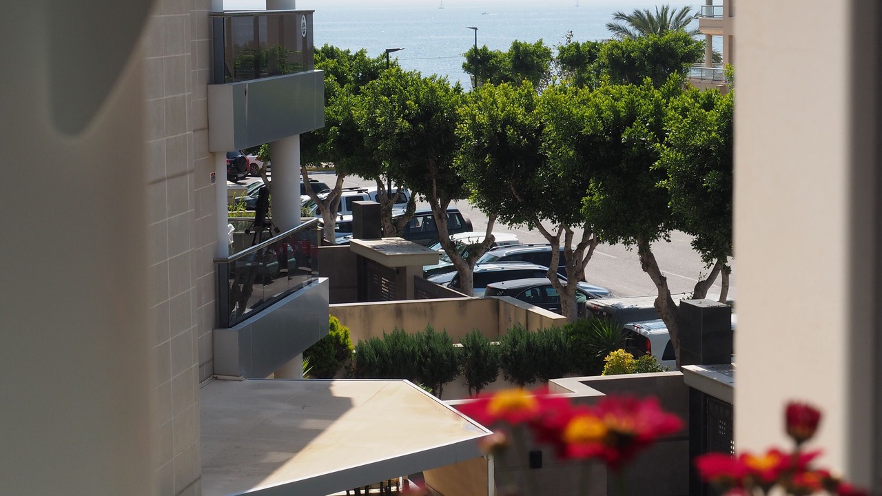 Photo of Others in Ibiza Town