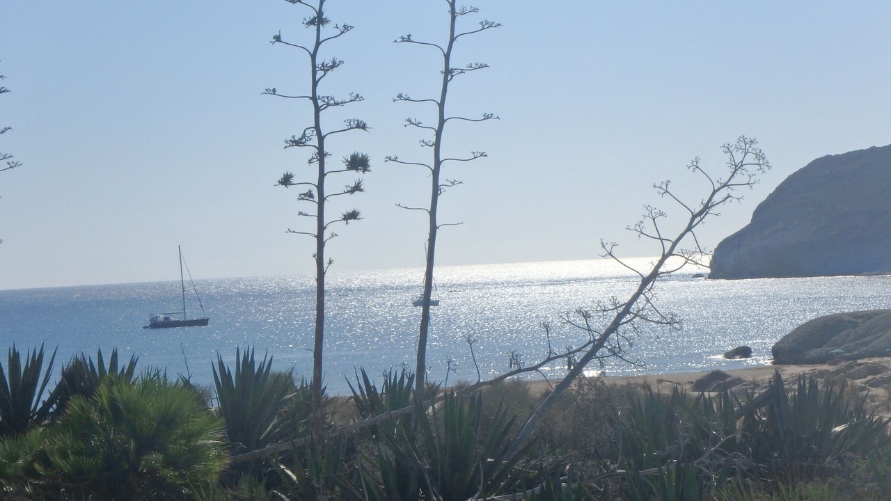 Photo of Others in El Pozo de los Frailes