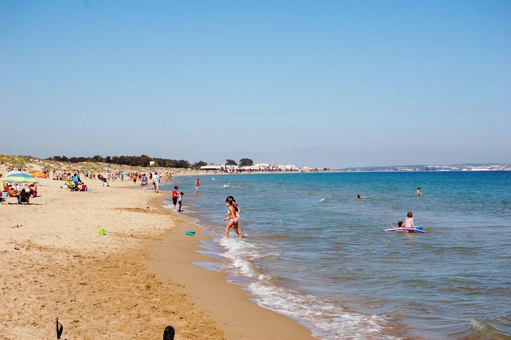 Photo of Others in La Marina