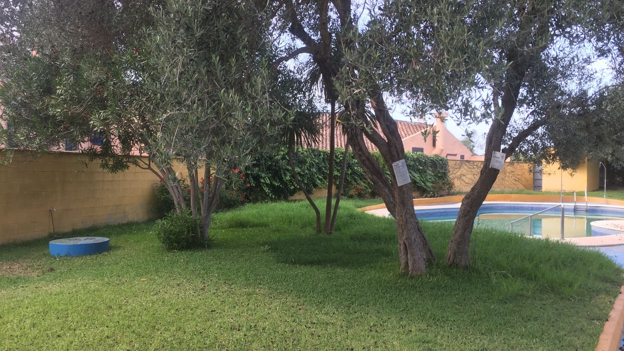 Photo of Outdoor in Valencina de la Concepcion