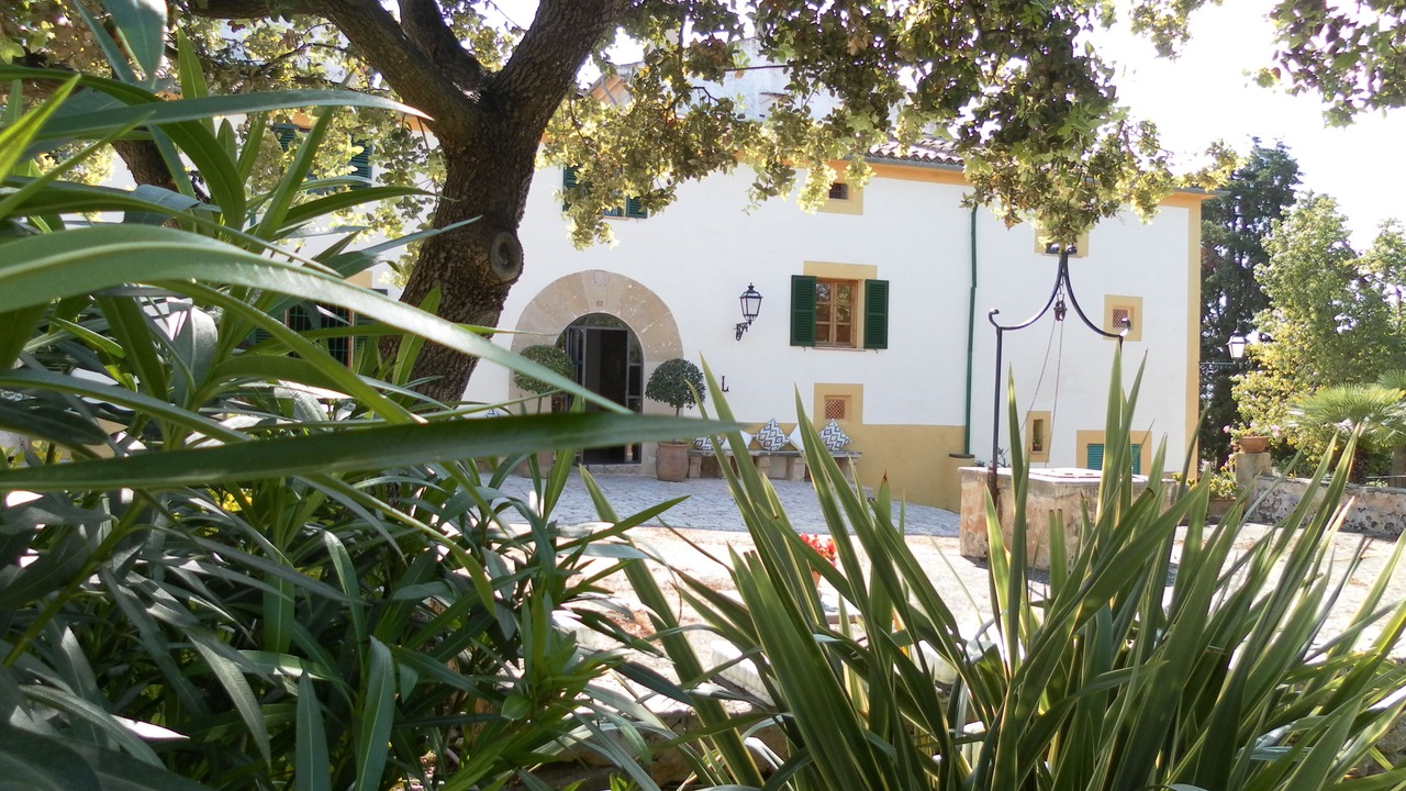 Photo of Outdoor in Puerto de Pollensa