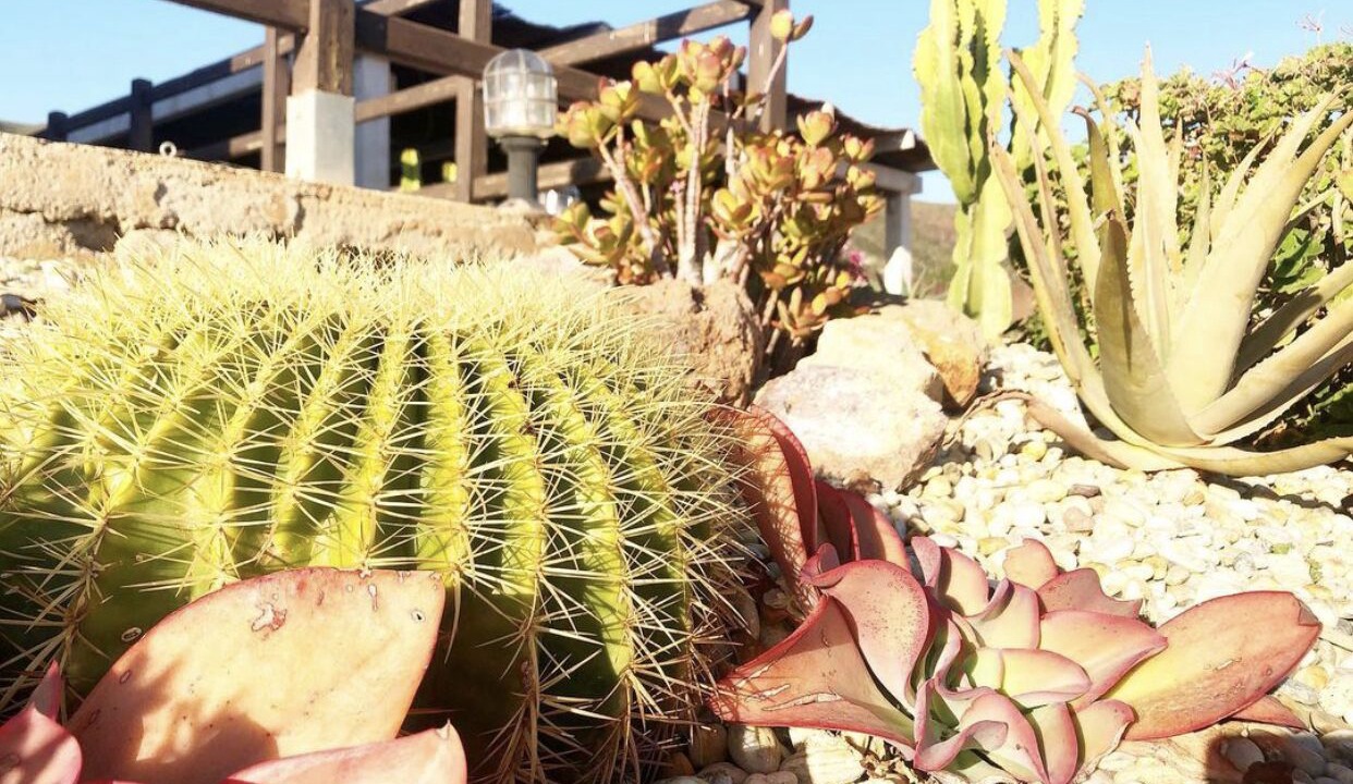 Photo of Outdoor in Los Escullos