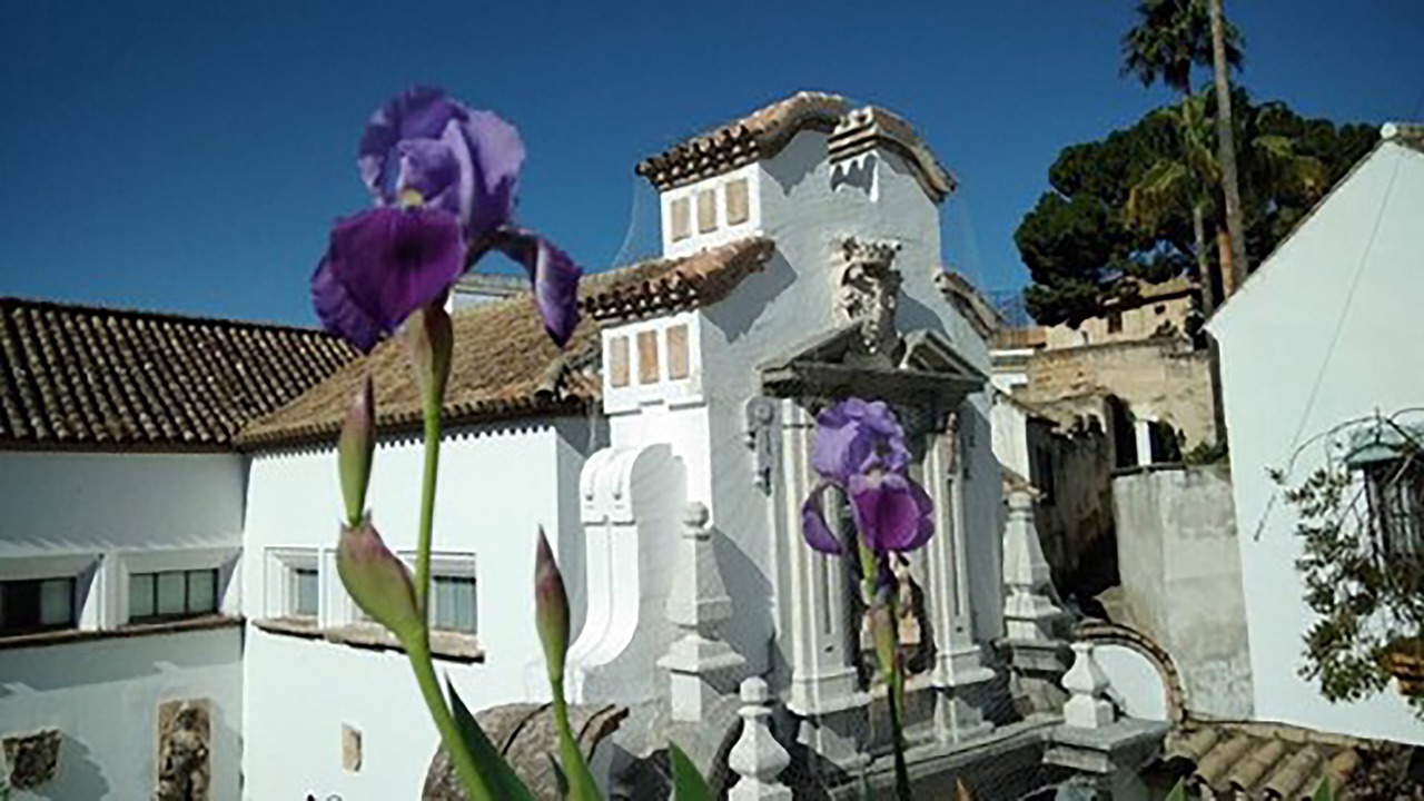 Photo of Outdoor in Cordoba Old City