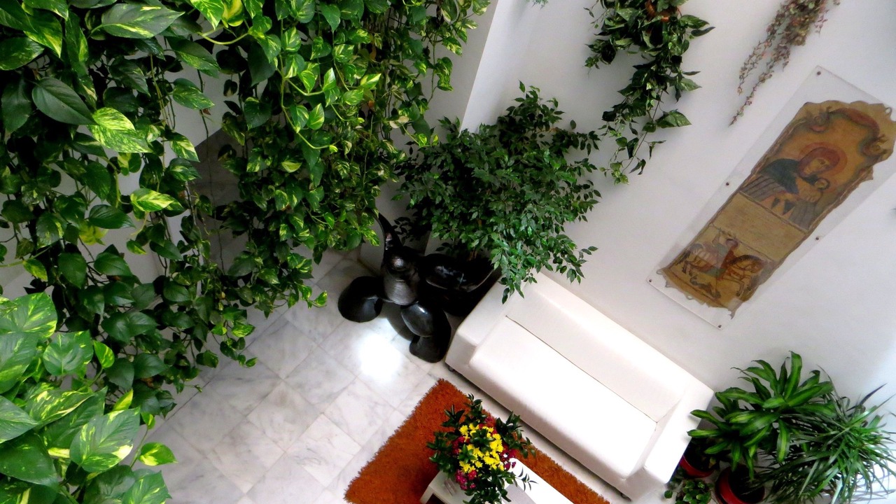 Photo of Outdoor in Museo