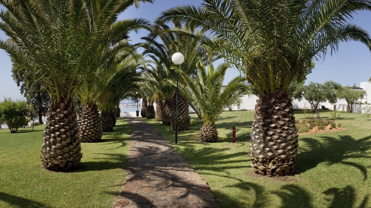 Photo of Outdoor in Ayamonte