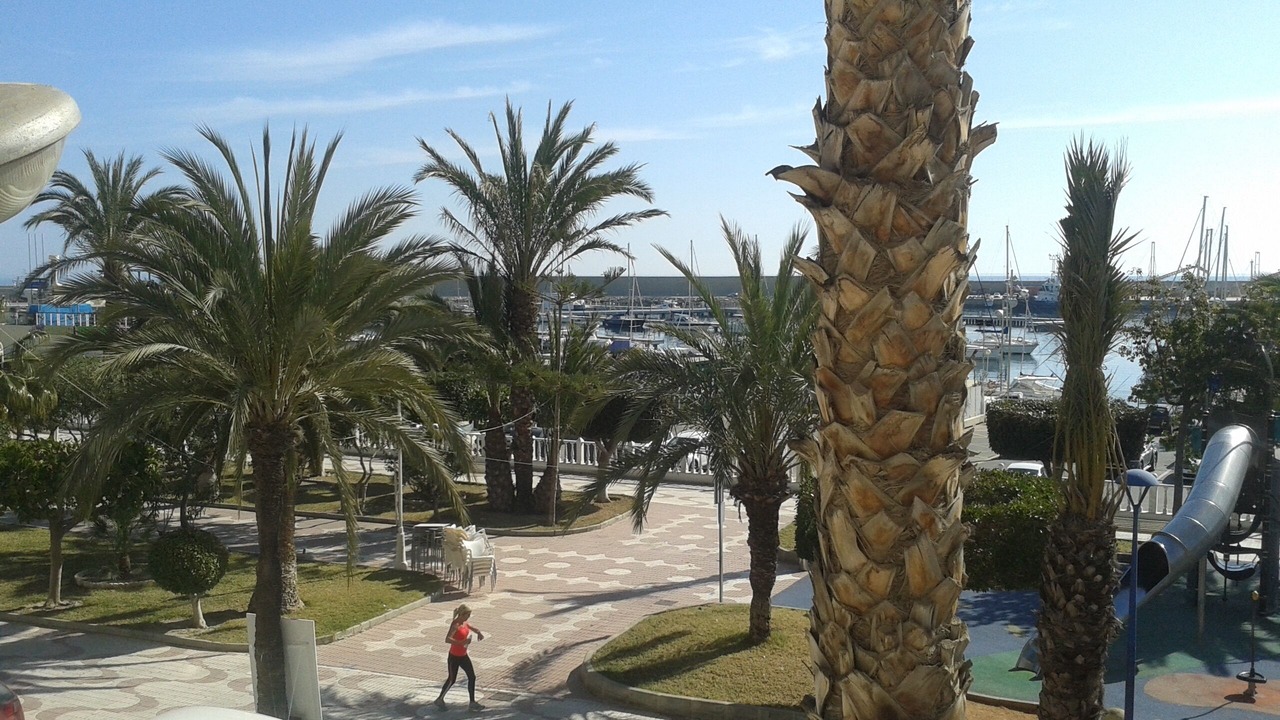 Photo of Outdoor in Garrucha