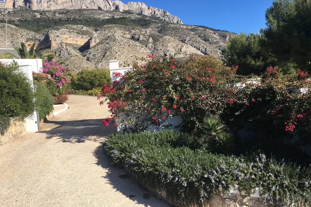 Photo of Outdoor in Bernia
