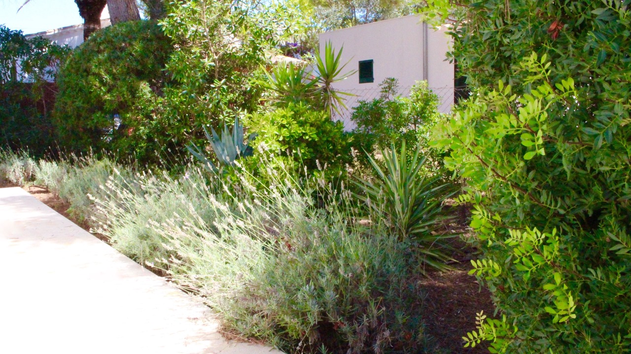 Photo of Outdoor in Puerto de Pollensa