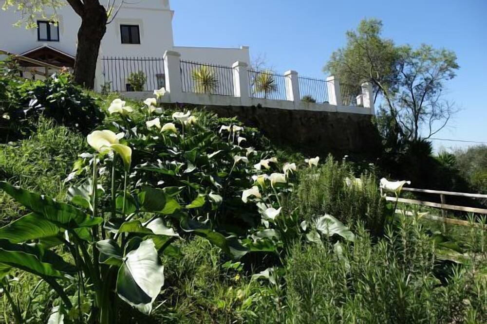 Photo of Outdoor in Alcala de los Gazules