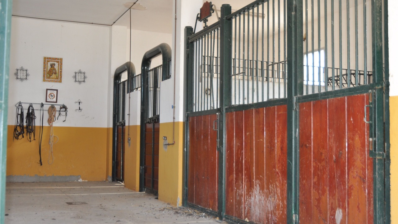 Photo of Outdoor in Los Palacios y Villafranca