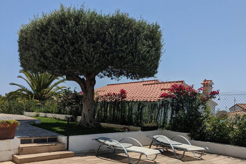 Photo of Outdoor in Alcossebre