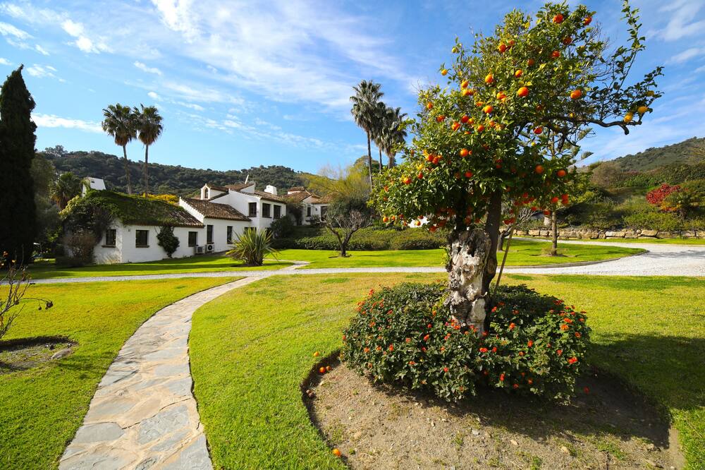 Photo of Others in Casares
