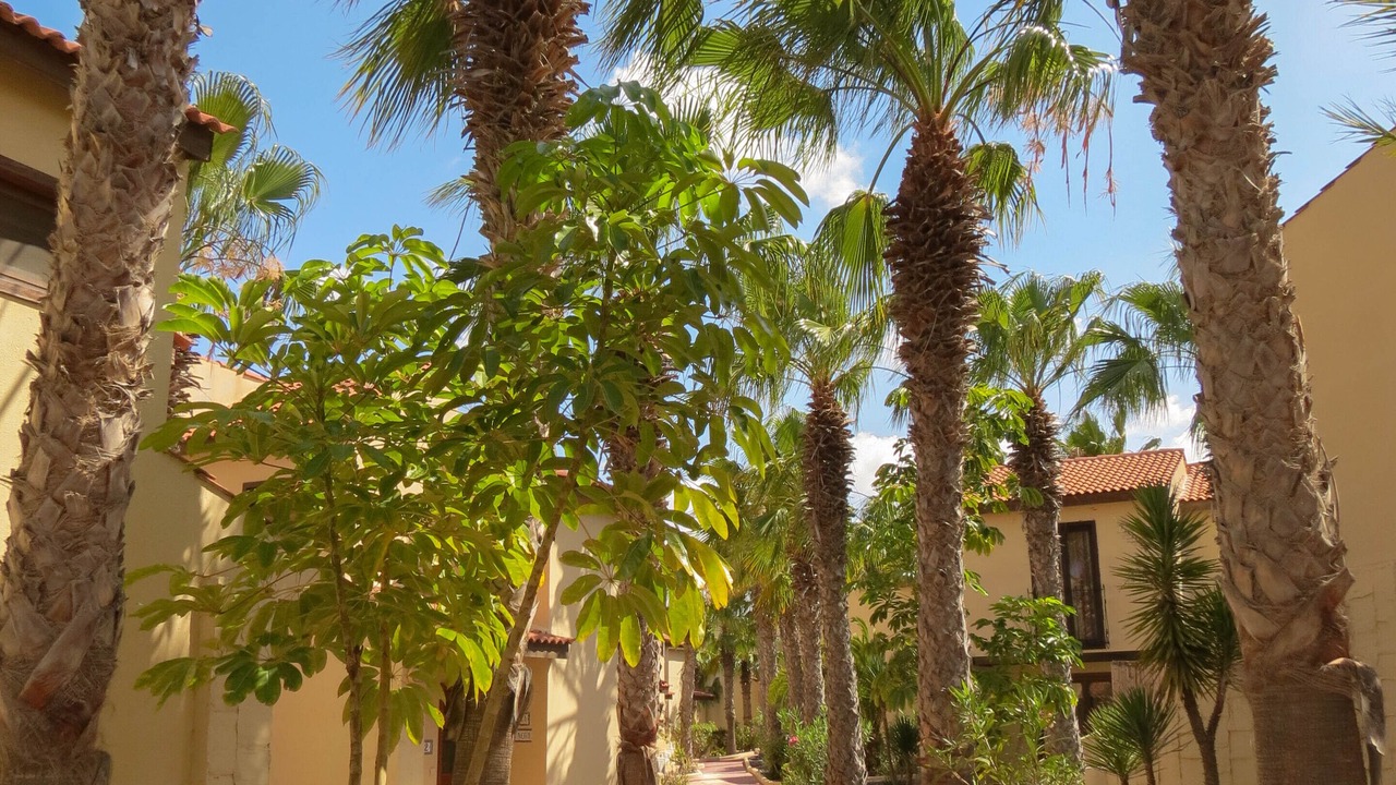 Photo of Outdoor in Parque Holandes
