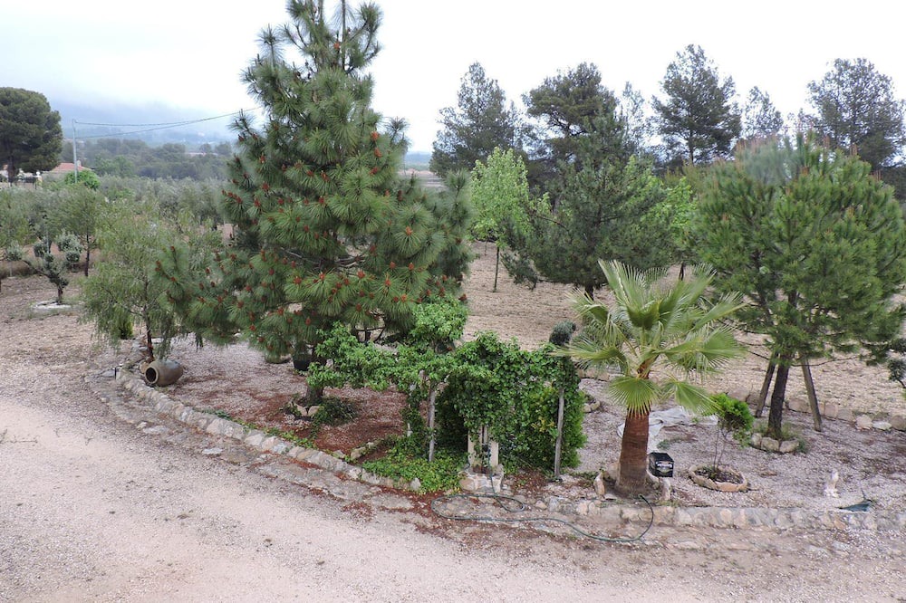 Photo of Outdoor in Onil