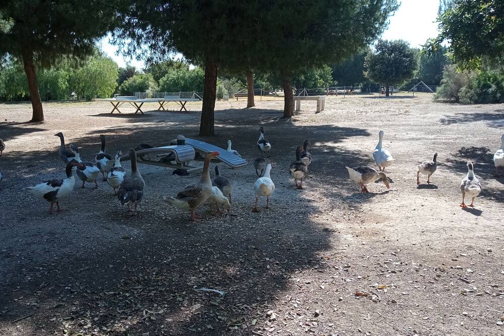 Photo of Others in Parque Alcosa