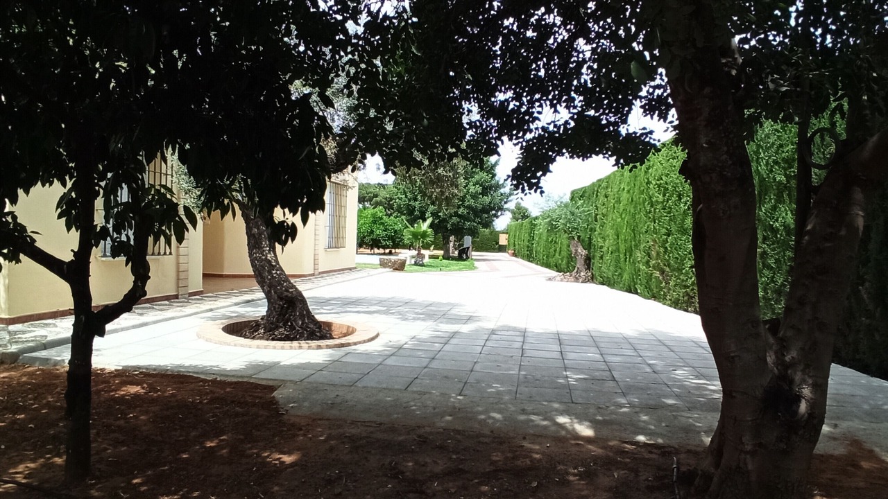 Photo of Outdoor in Marchena