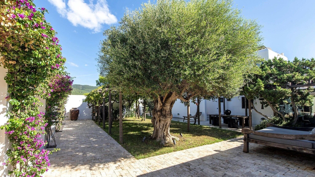 Photo of Patio Balcony in Sant Josep de sa Talaia