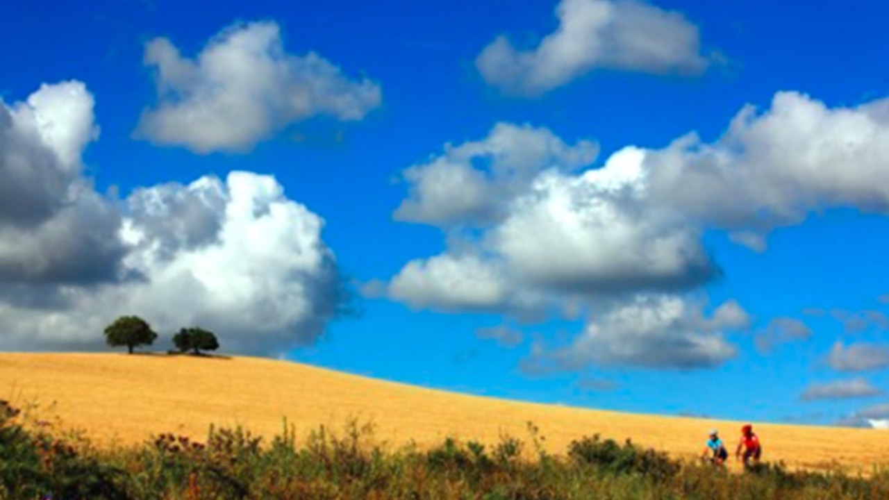 Photo of Outdoor in Chiclana de la Frontera