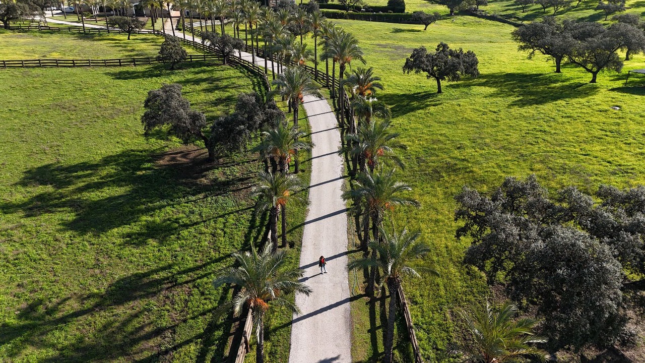 Photo of Outdoor in Guillena