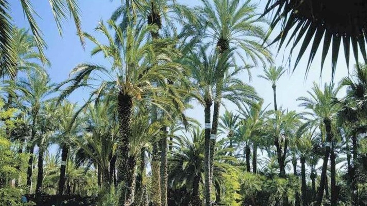 Photo of Outdoor in Puerto Marino