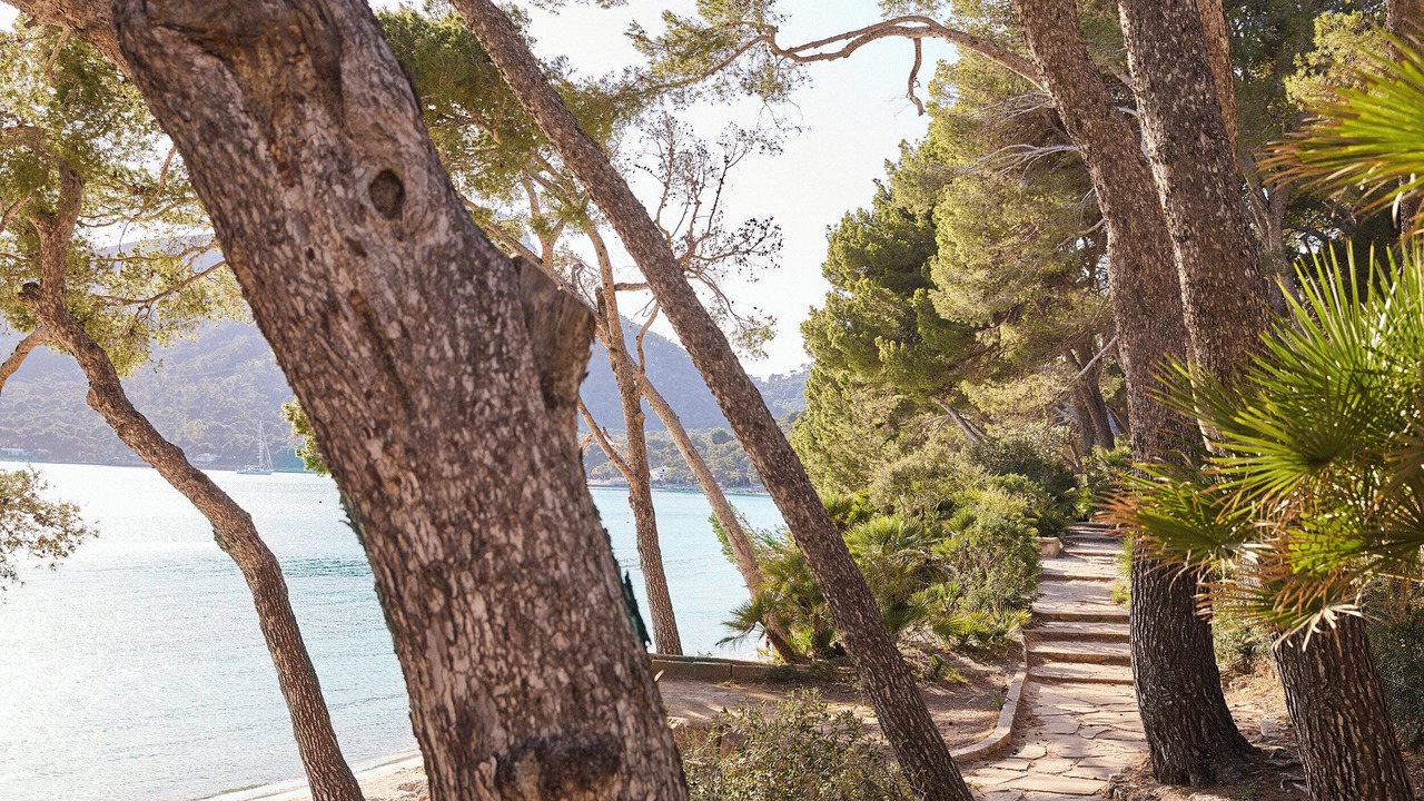 Photo of Others in Playa de Formentor