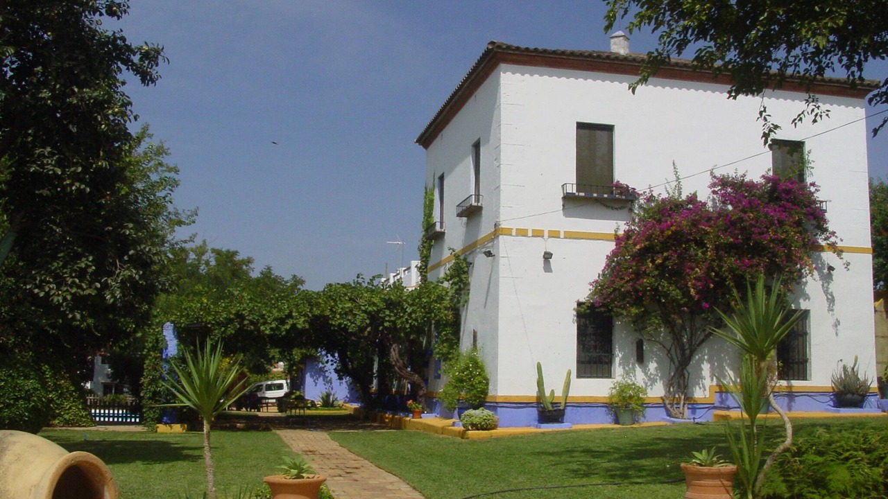 Photo of Outdoor in Mairena del Alcor