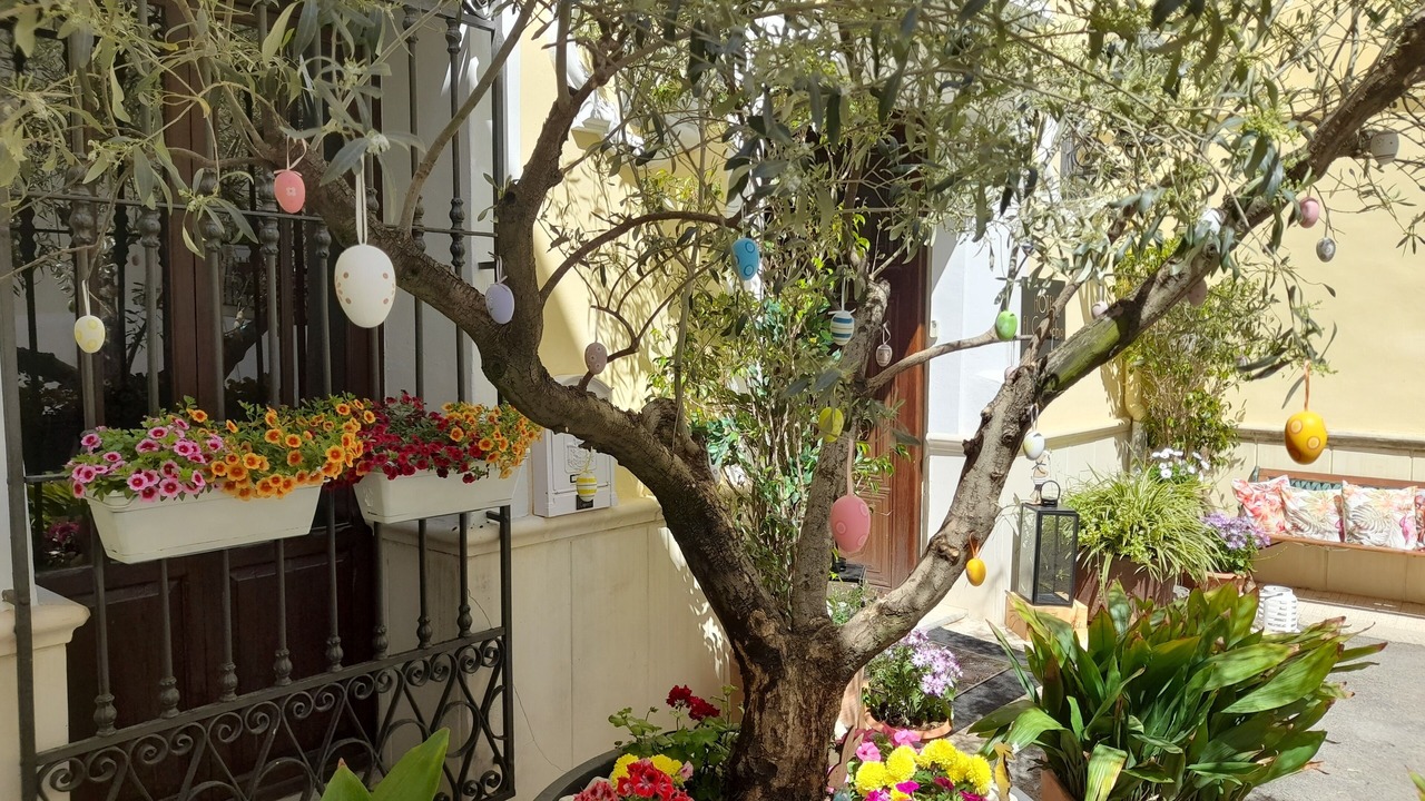 Photo of Outdoor in Beniali