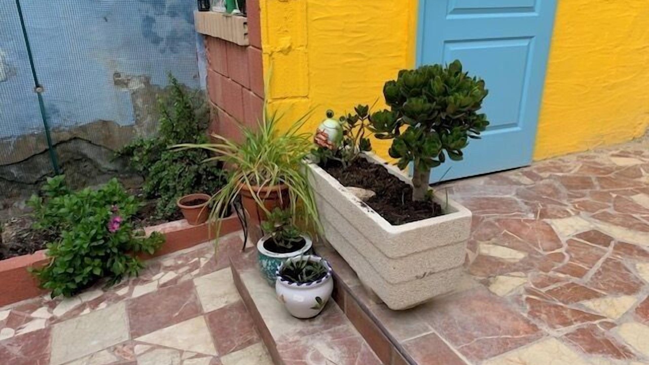 Photo of Outdoor in Sax