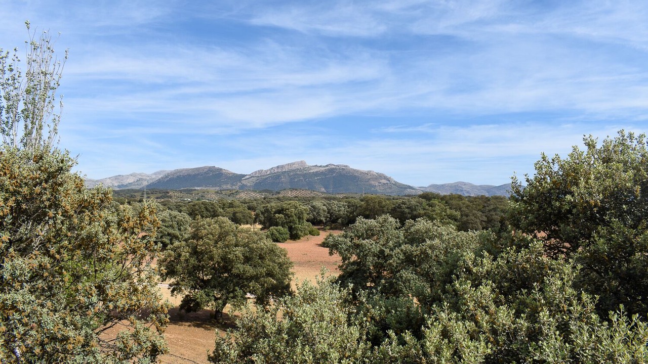 Photo of Others in Archidona