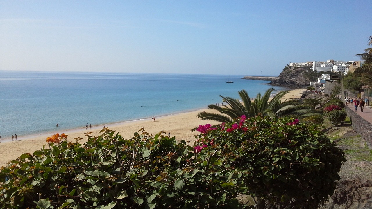 Photo of Others in Solana del Matorral