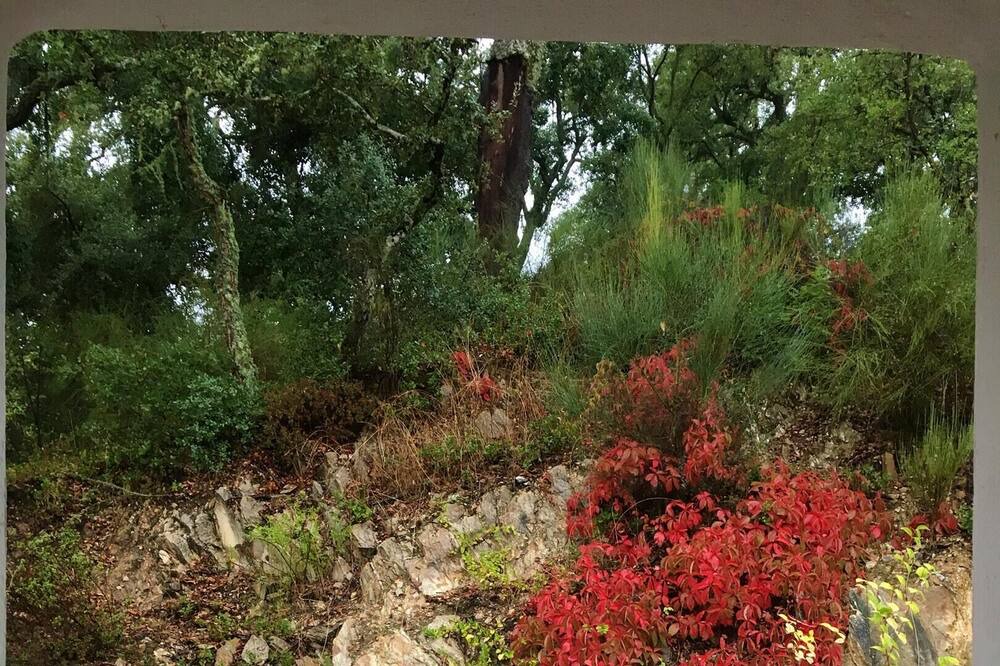 Photo of Outdoor in Aracena