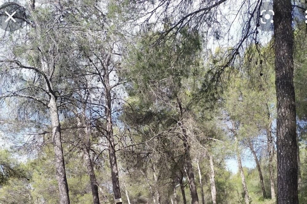 Photo of Outdoor in Montellano
