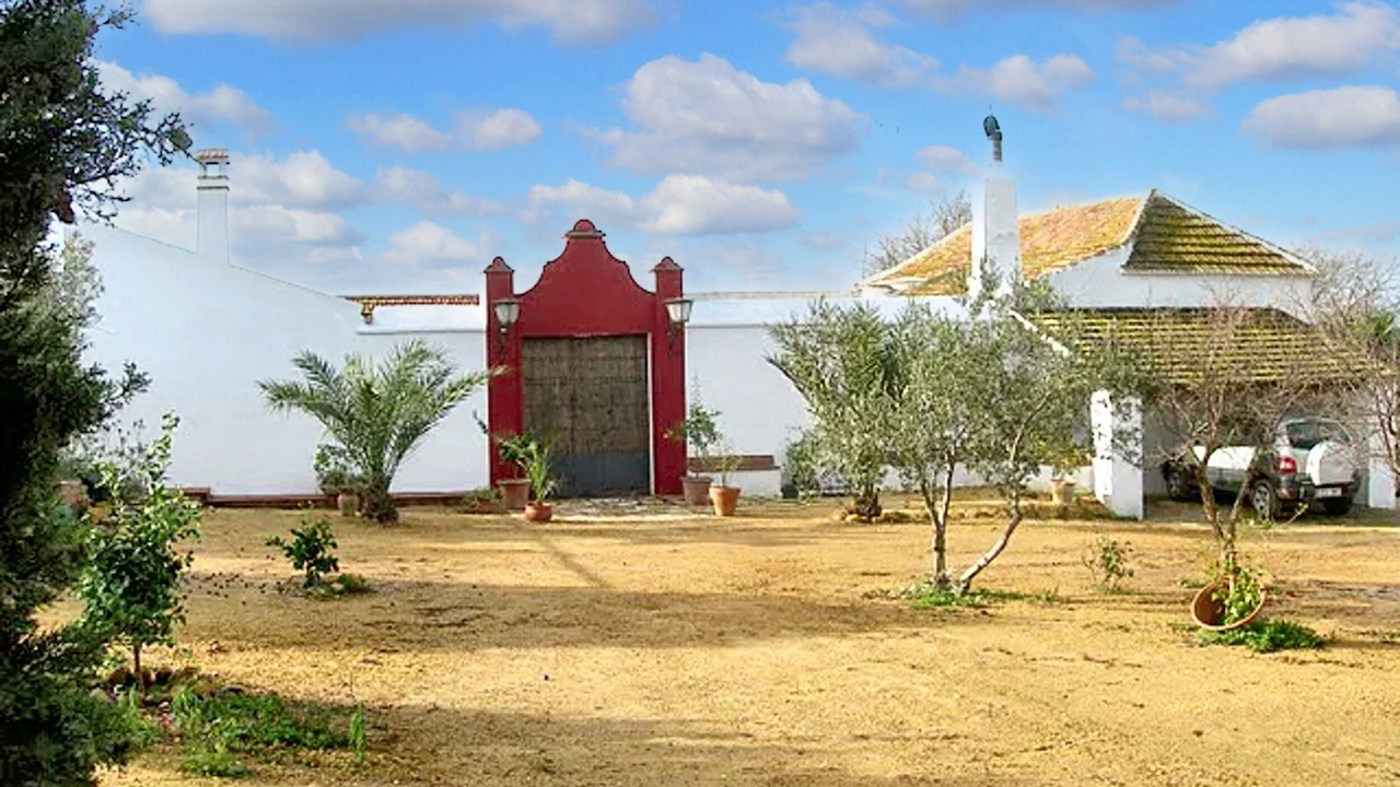 Photo of Outdoor in La Campana