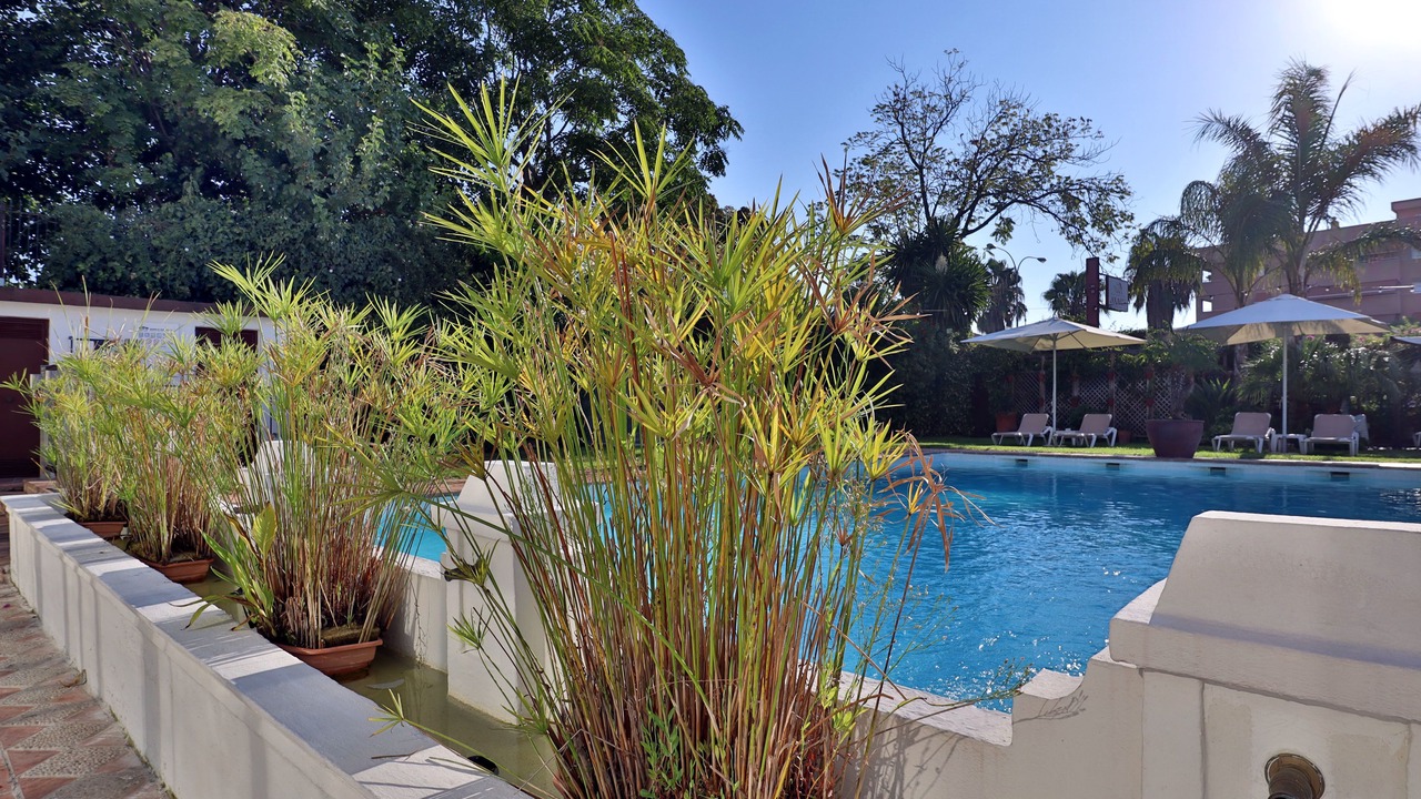 Photo of Outdoor in Distrito Sur