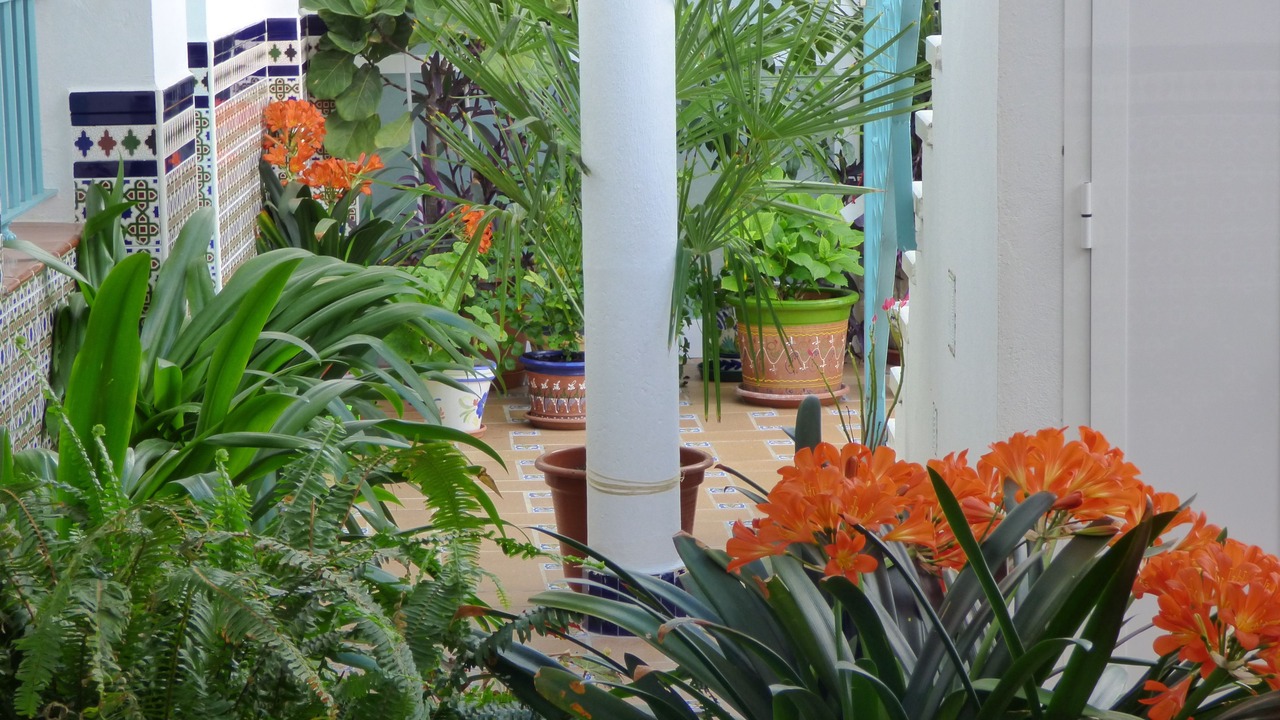 Photo of Outdoor in Sanlucar de Barrameda