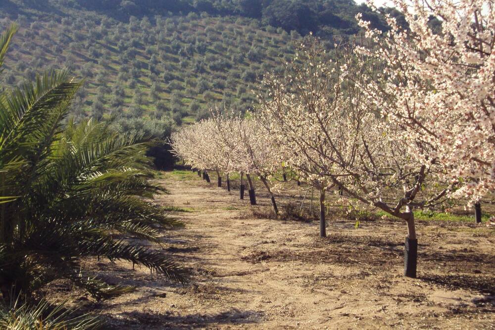 Photo of Others in Estepa